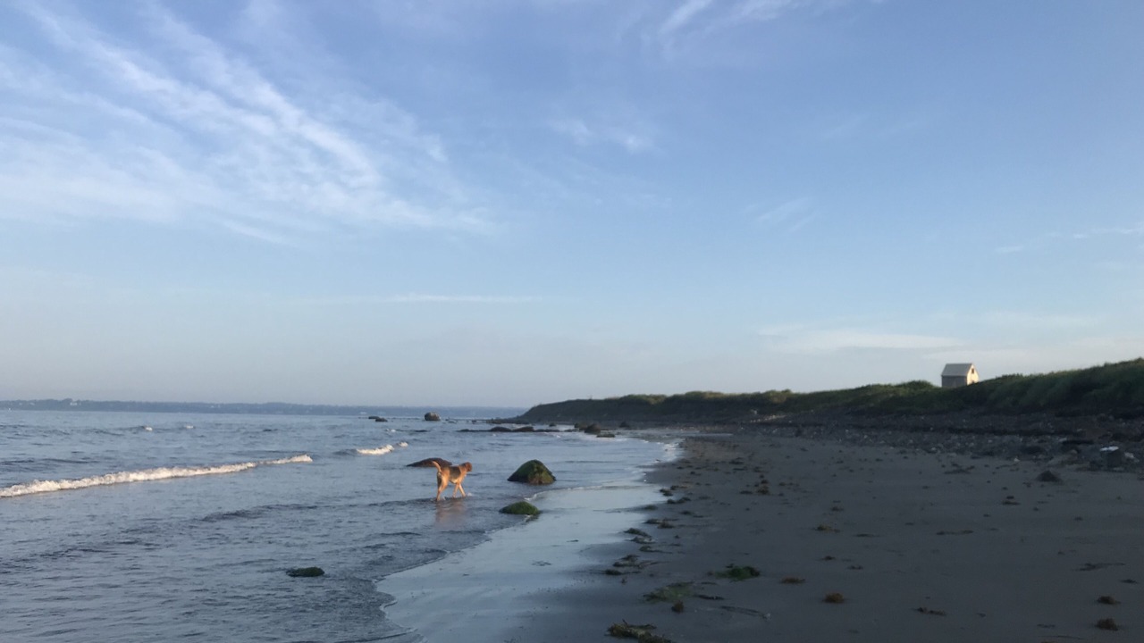 Photo of Others in Little Compton