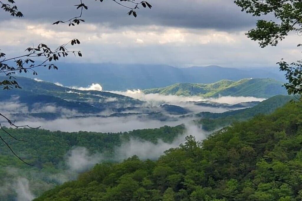 Photo of Others in Wintergreen