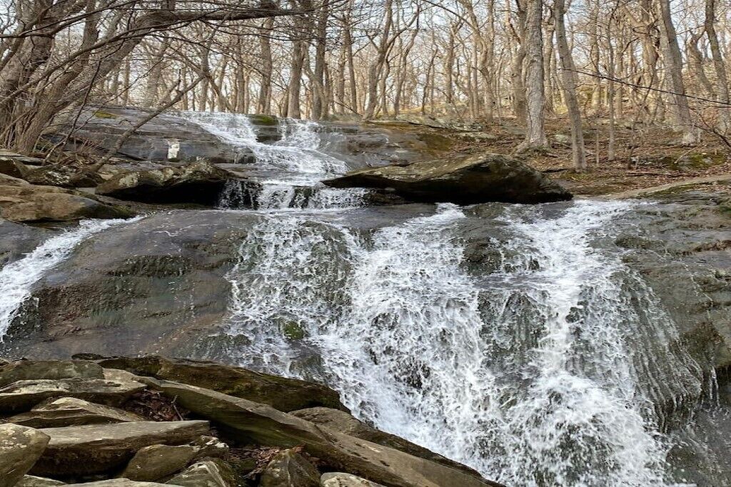 Photo of Others in Wintergreen
