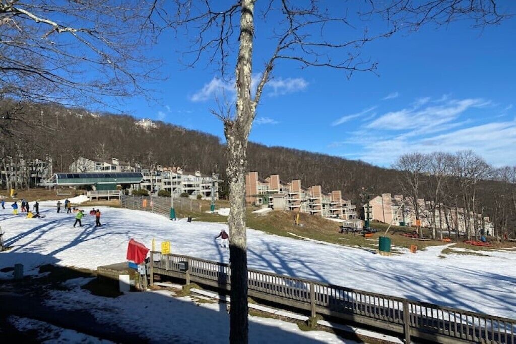 Photo of Others in Wintergreen