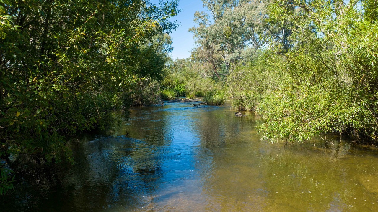Photo of Others in Goughs Bay