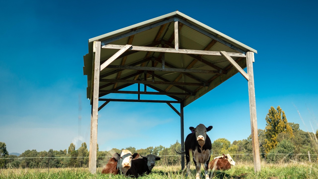 Photo of Outdoor in Goughs Bay