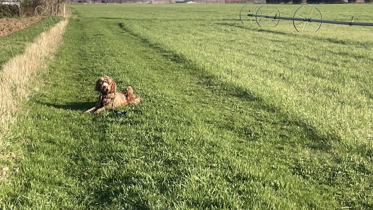 Photo of Outdoor in Northville