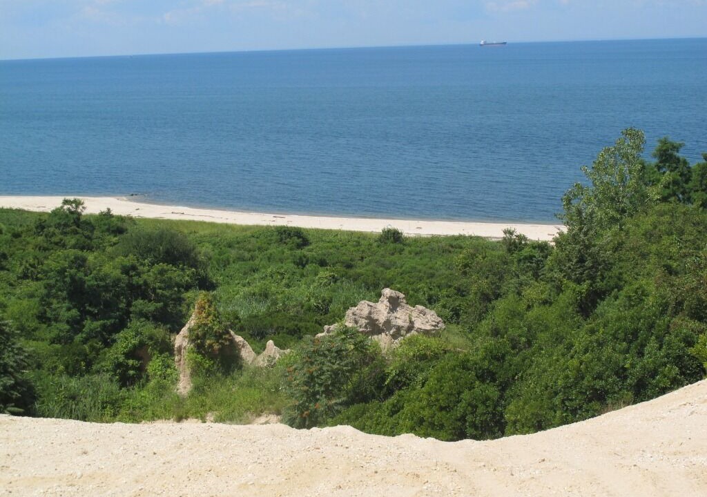 Photo of Others in Northville