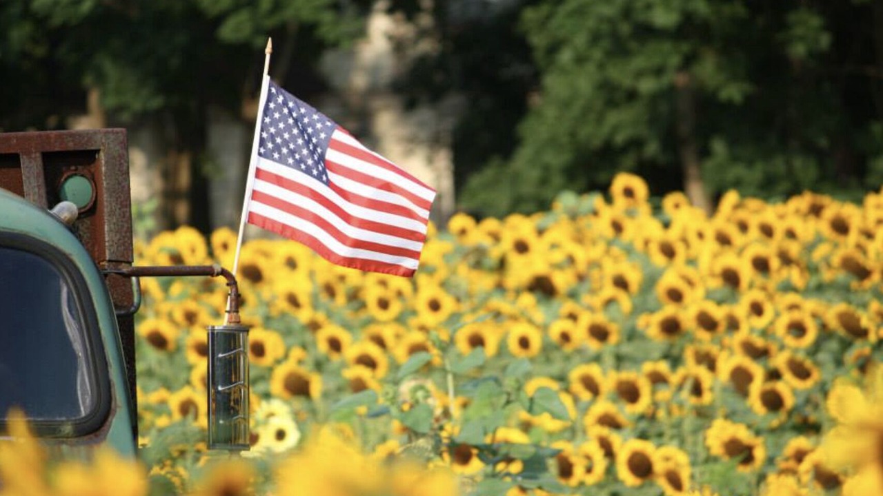 Photo of Others in Northville