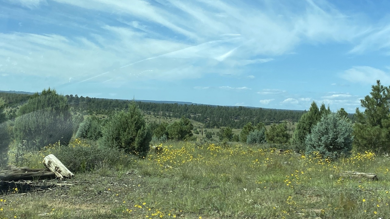 Photo of Outdoor in Zane Grey