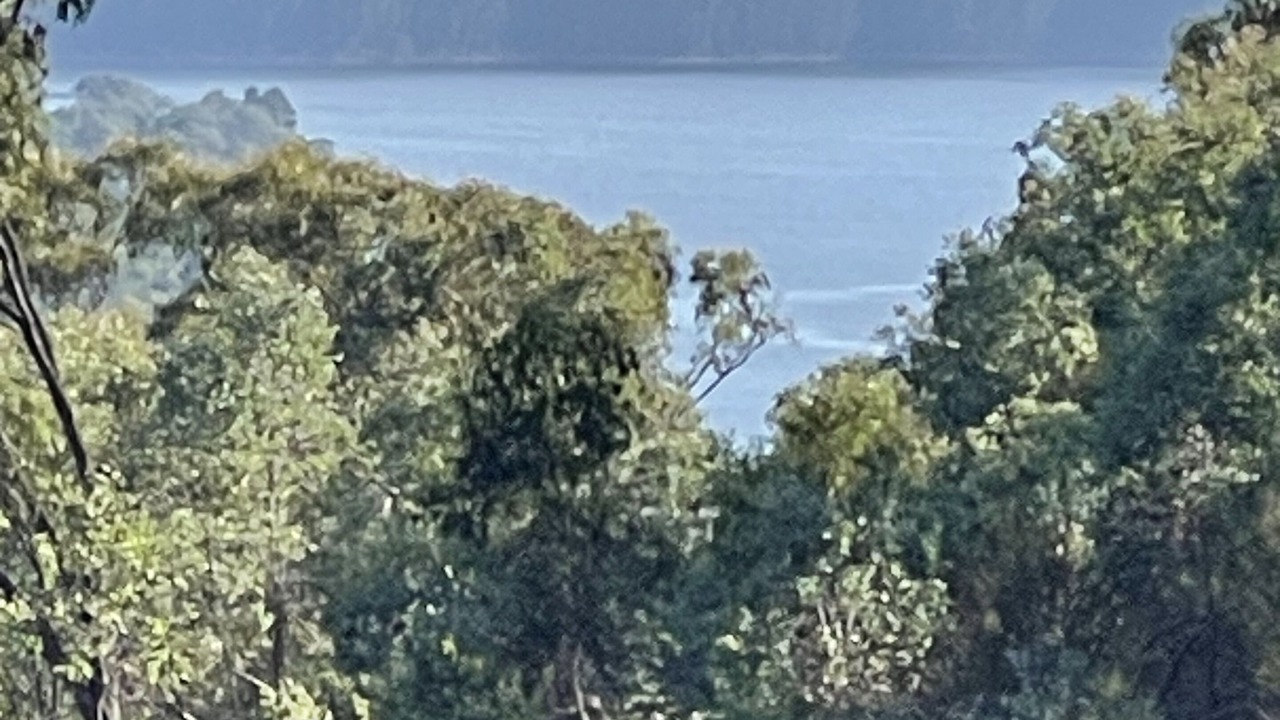 Photo of Others in Taylor Bay