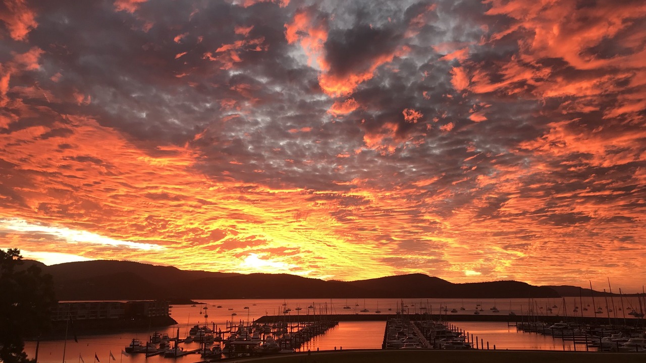 Photo of Others in Airlie Beach