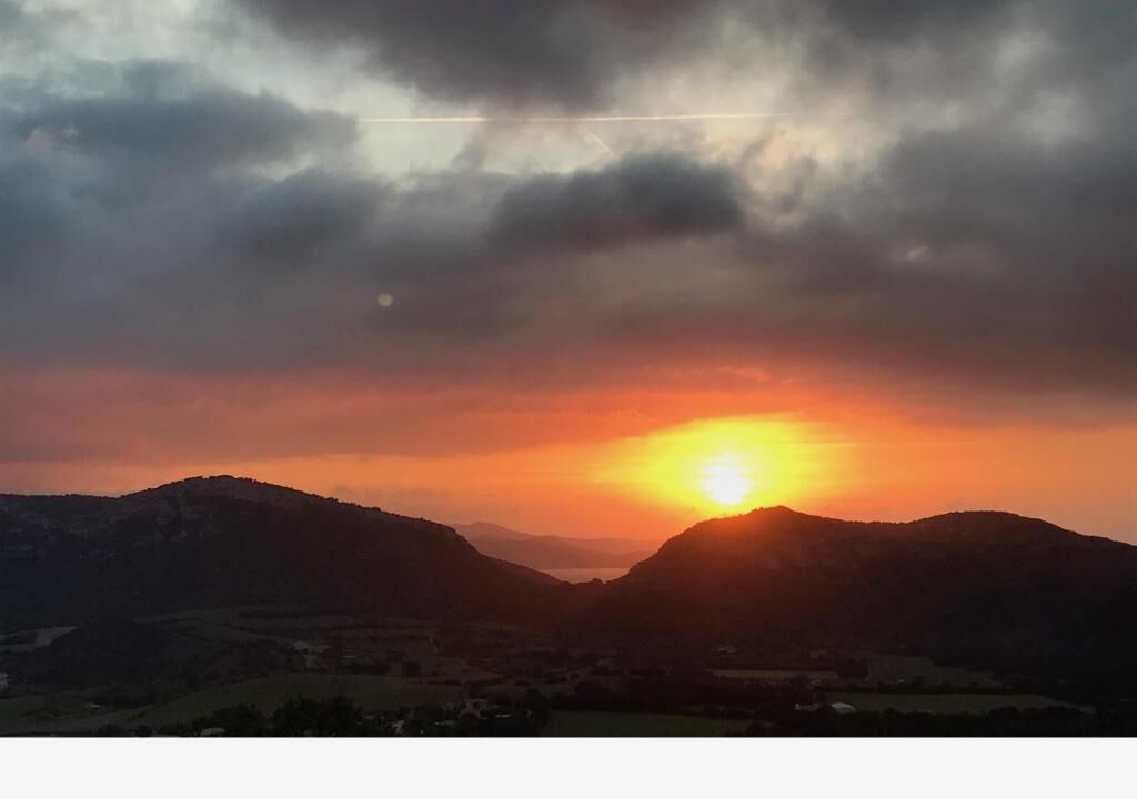 Photo of Others in Patrimonio