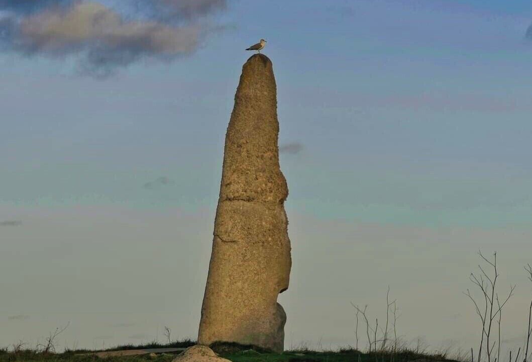 Photo of Others in Plouescat