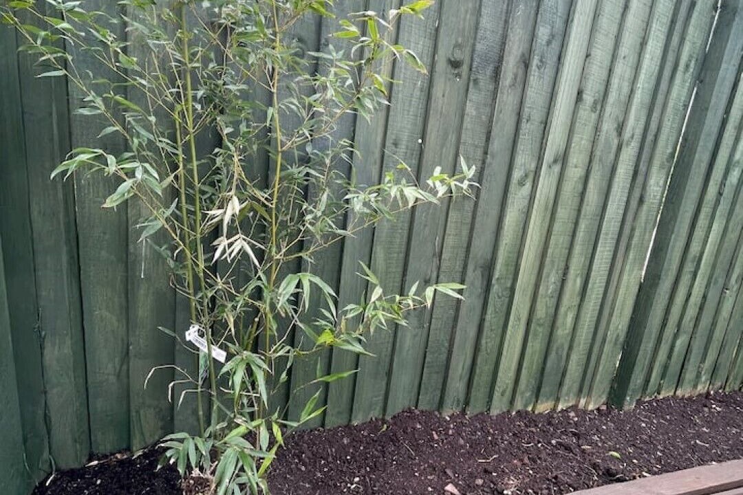 Photo of Outdoor in Pembroke Dock