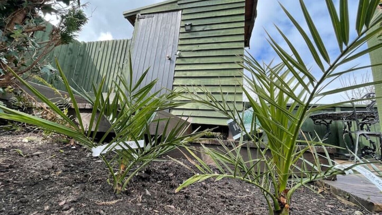 Photo of Outdoor in Pembroke Dock