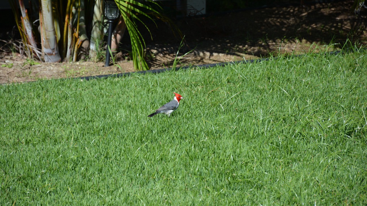 Photo of Outdoor in Lanikai