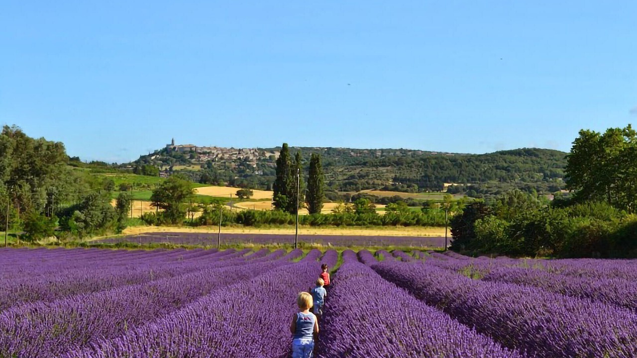 Photo of Others in Labaume