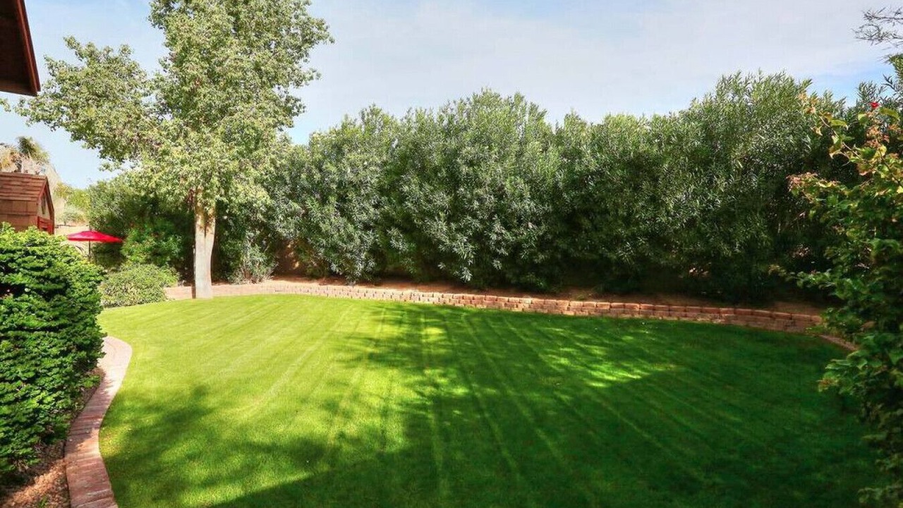 Photo of Outdoor in Mesa