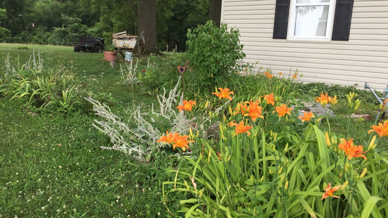 Photo of Outdoor in St. Clair County