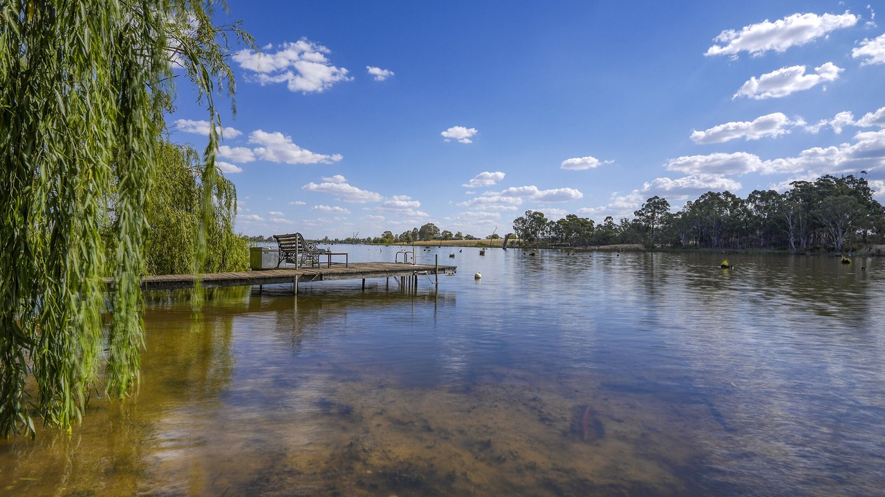 Photo of Others in Kirwans Bridge