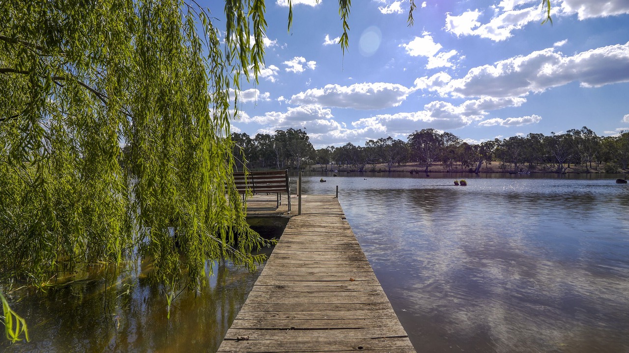 Photo of Others in Kirwans Bridge