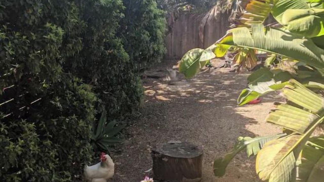 Photo of Outdoor in Richmond Annex