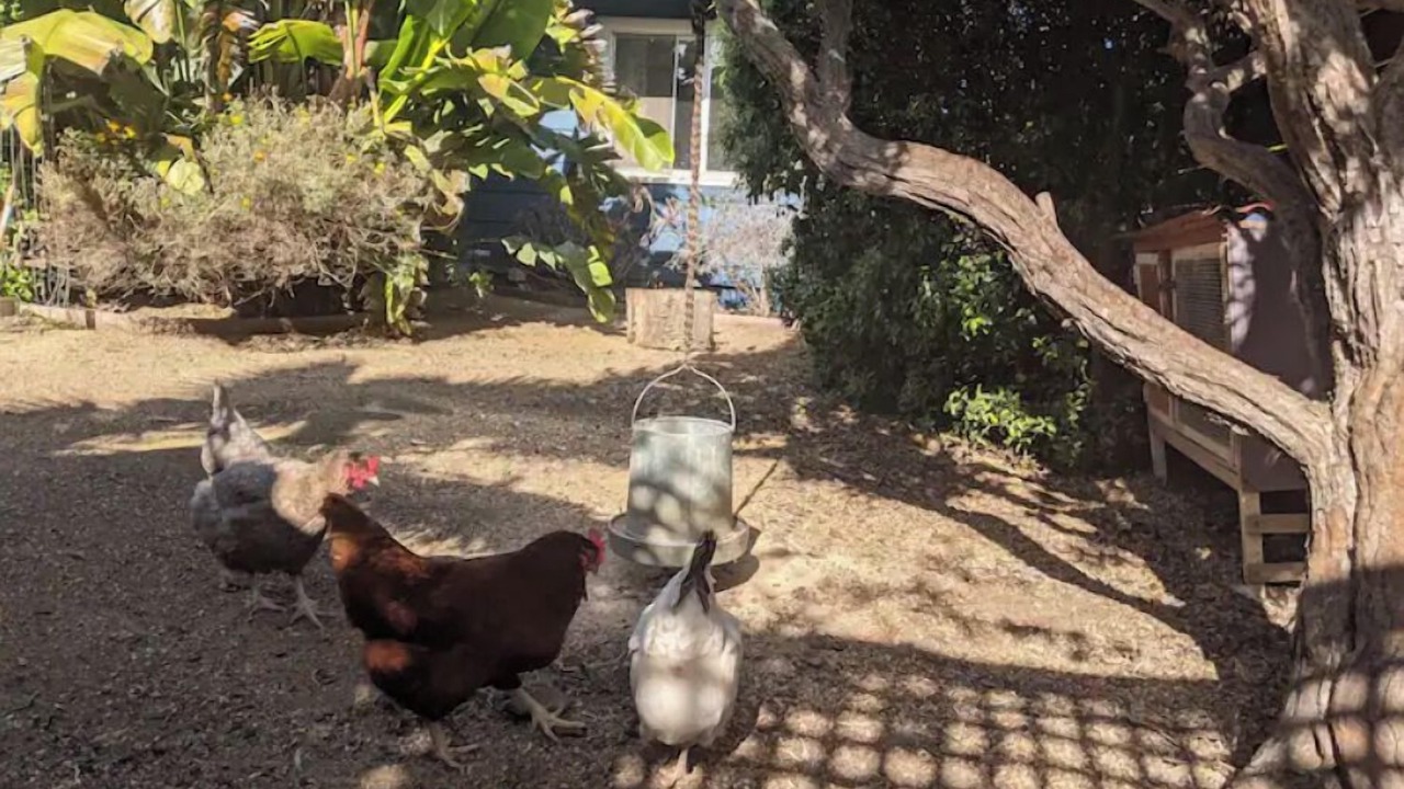 Photo of Outdoor in Richmond Annex