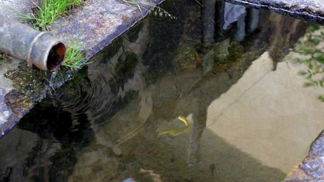 Photo of Outdoor in Saint-Nizier-de-Fornas