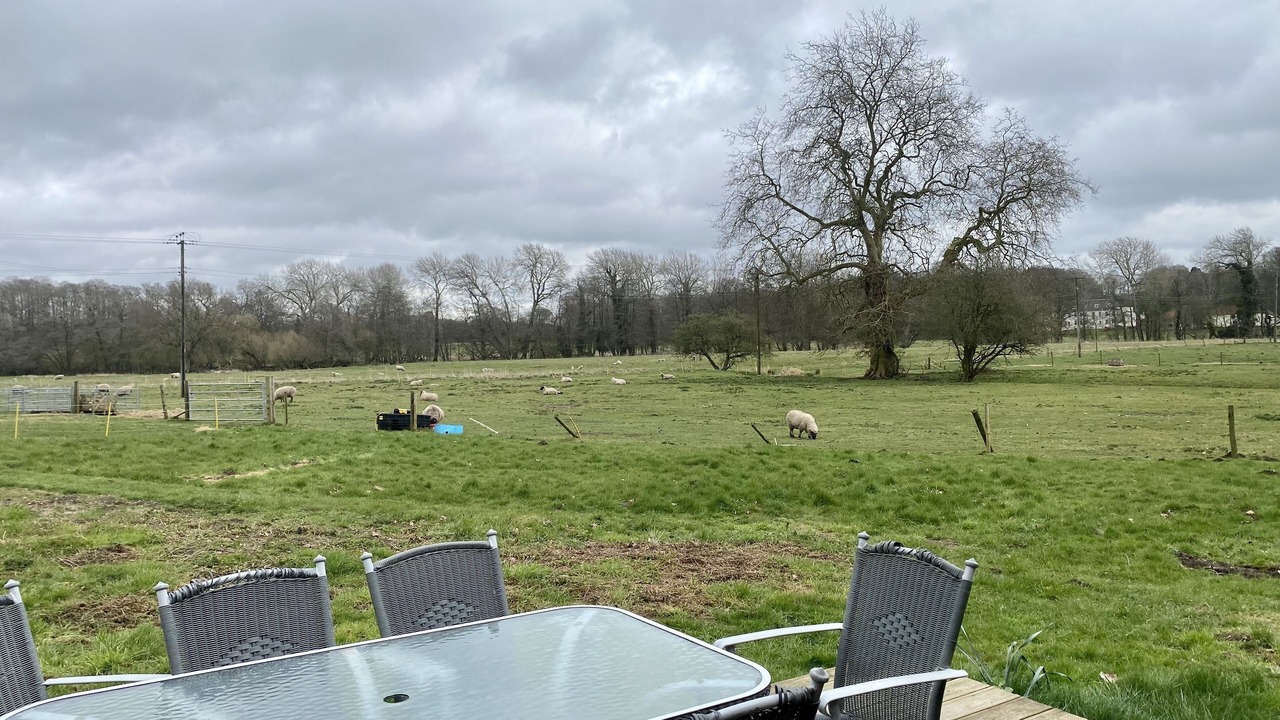 Photo of Outdoor in Thetford