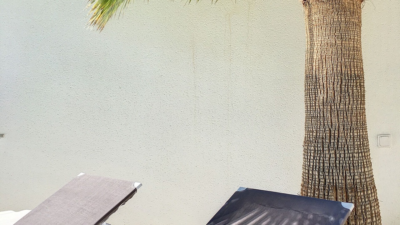 Photo of Patio Balcony in Santiago de la Ribera
