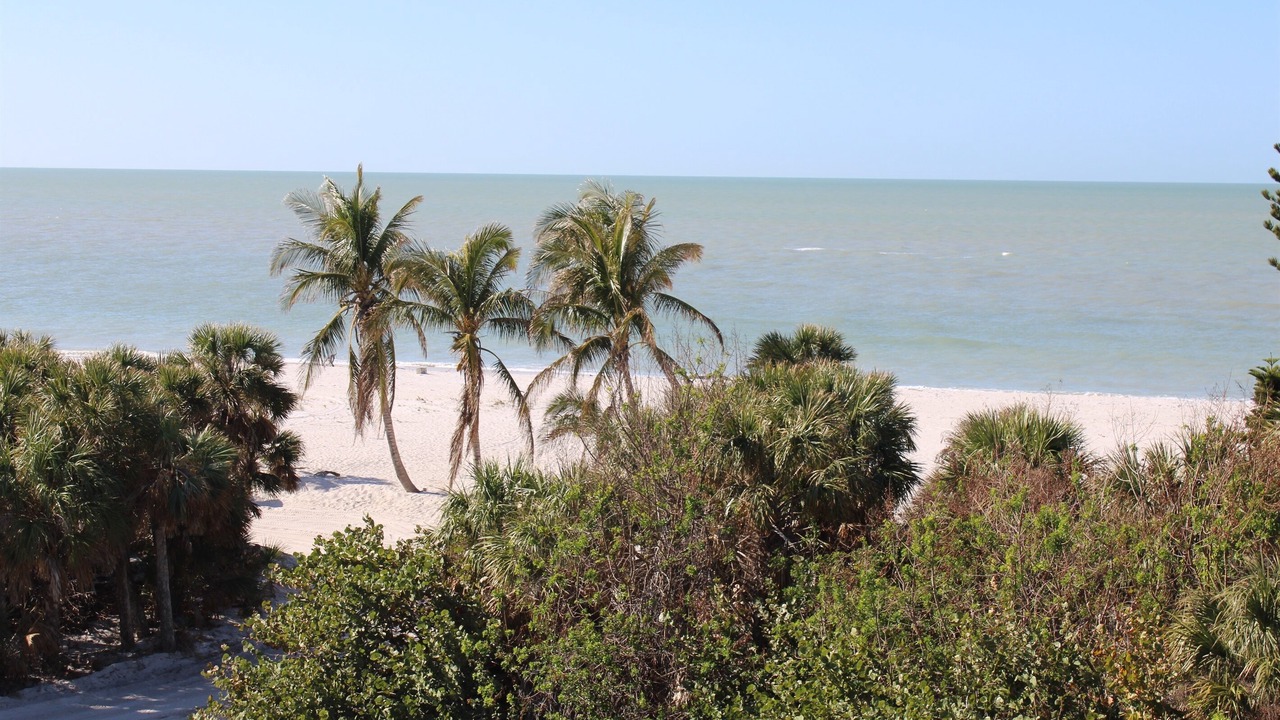 Photo of Others in North Captiva