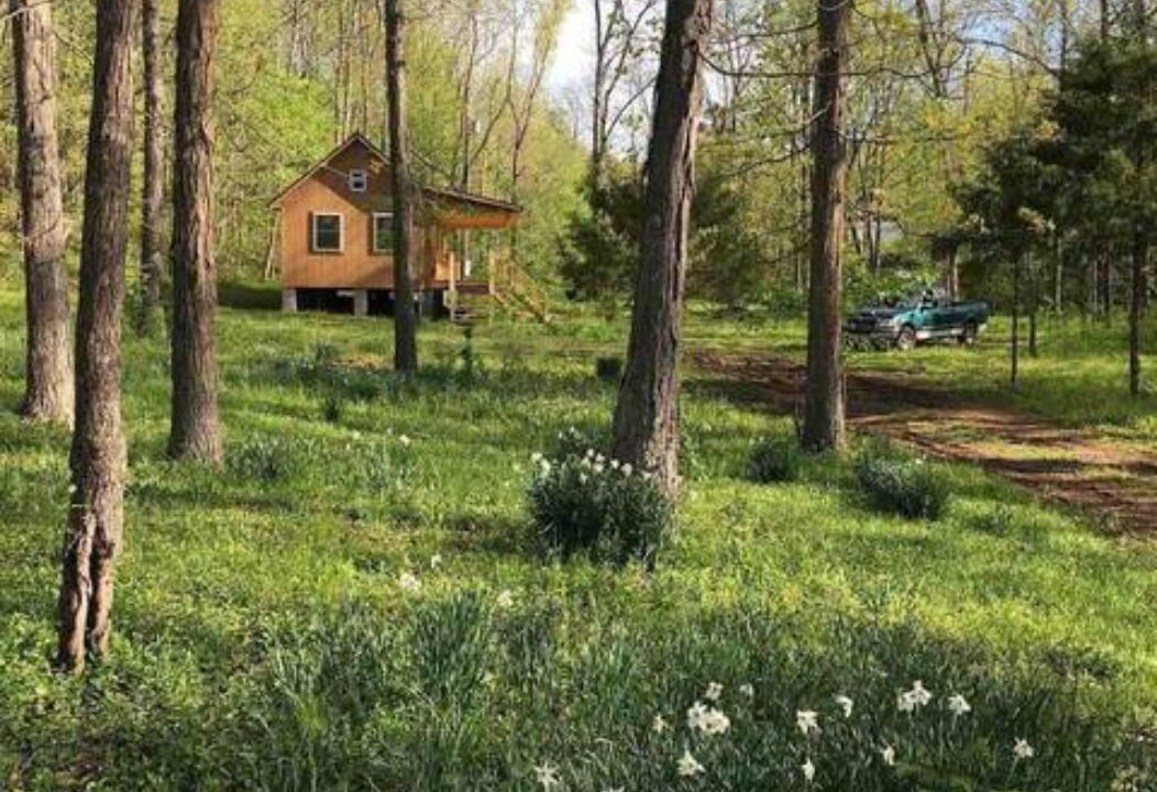 Photo of Outdoor in Pettigrew