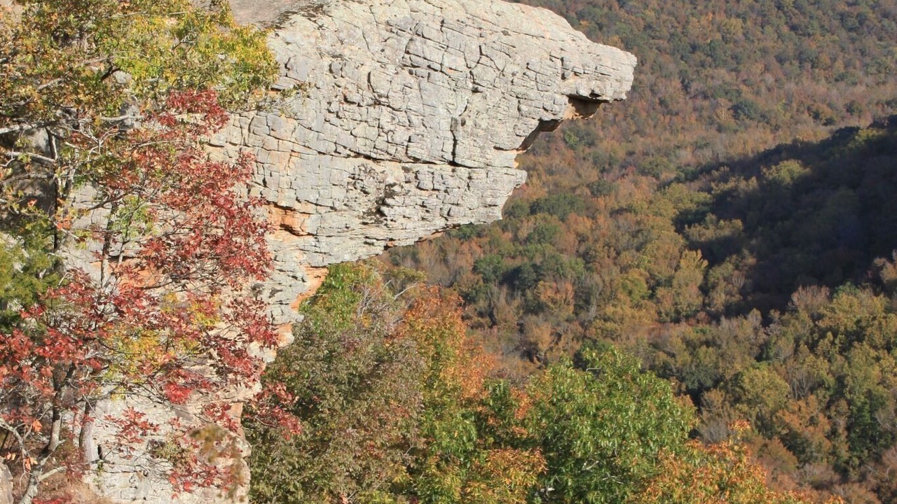 Photo of Outdoor in Pettigrew