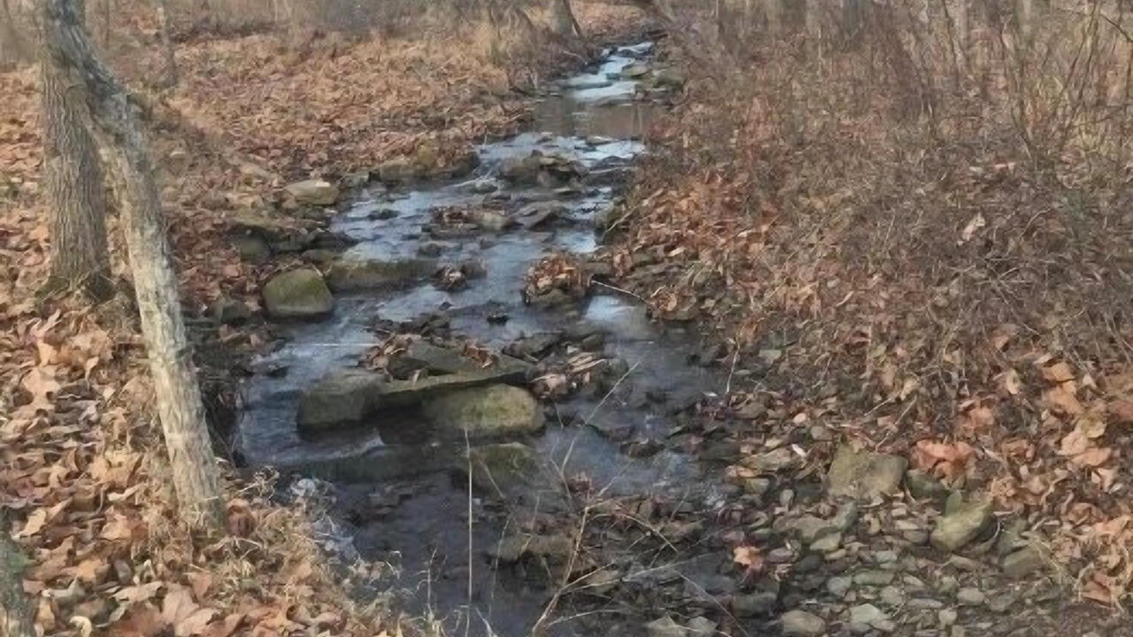 Photo of Others in Pettigrew
