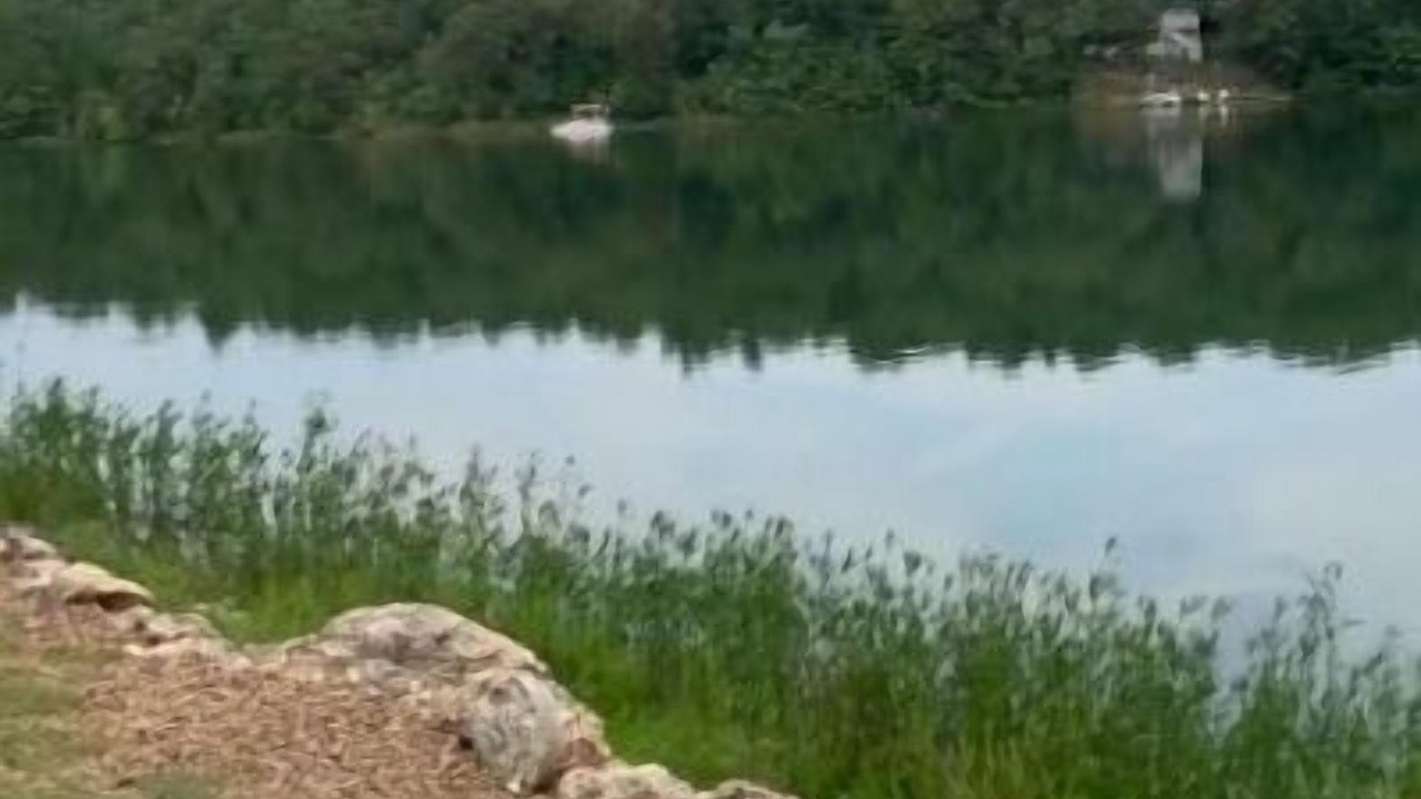 Photo of Others in Cherokee Village