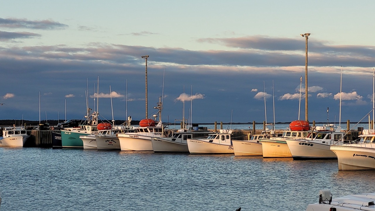 Photo of Others in Richibucto