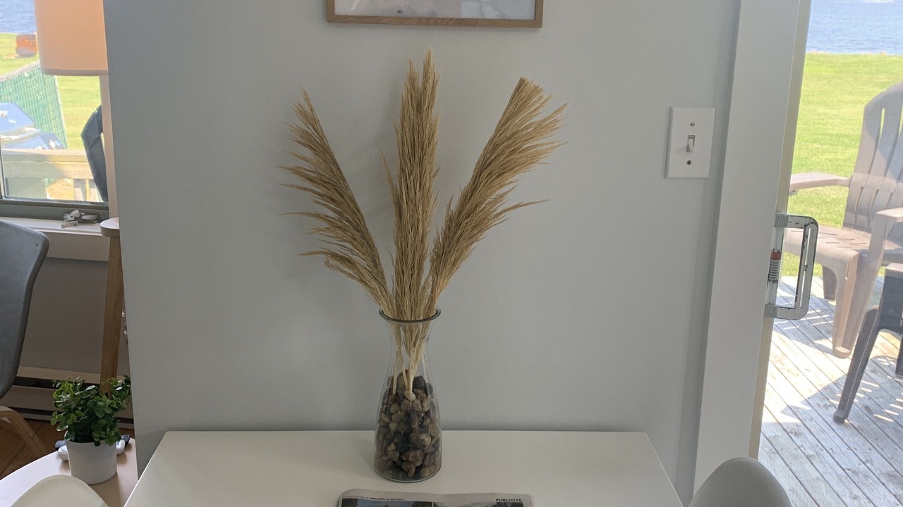 Photo of Others in Richibucto