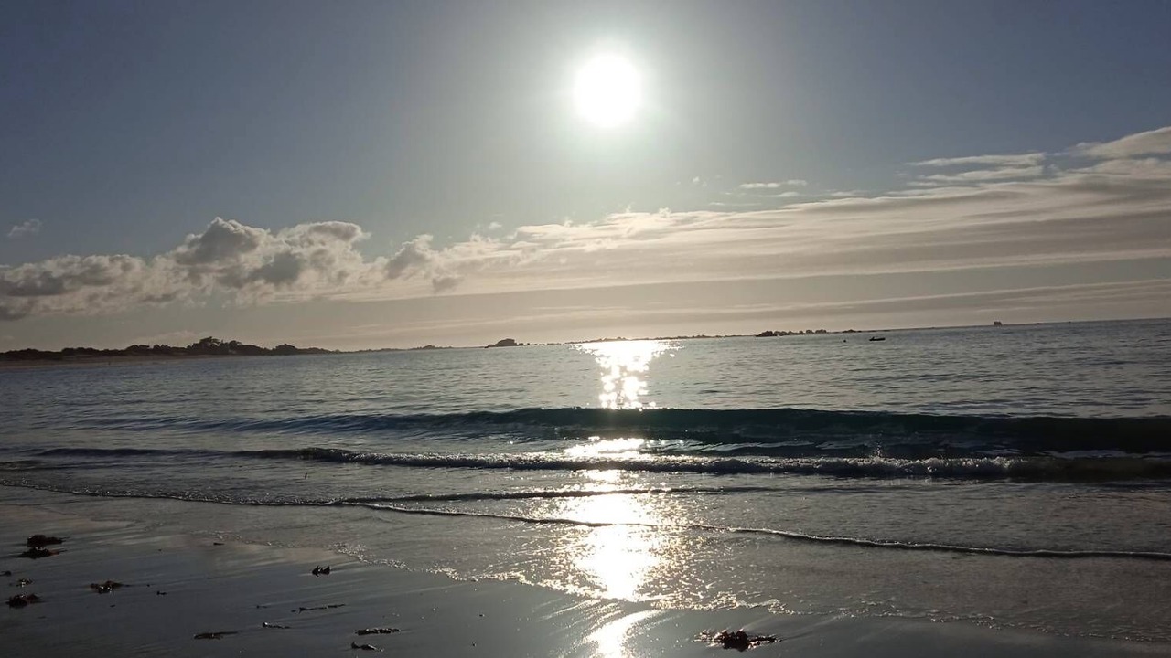 Photo of Others in Cleder