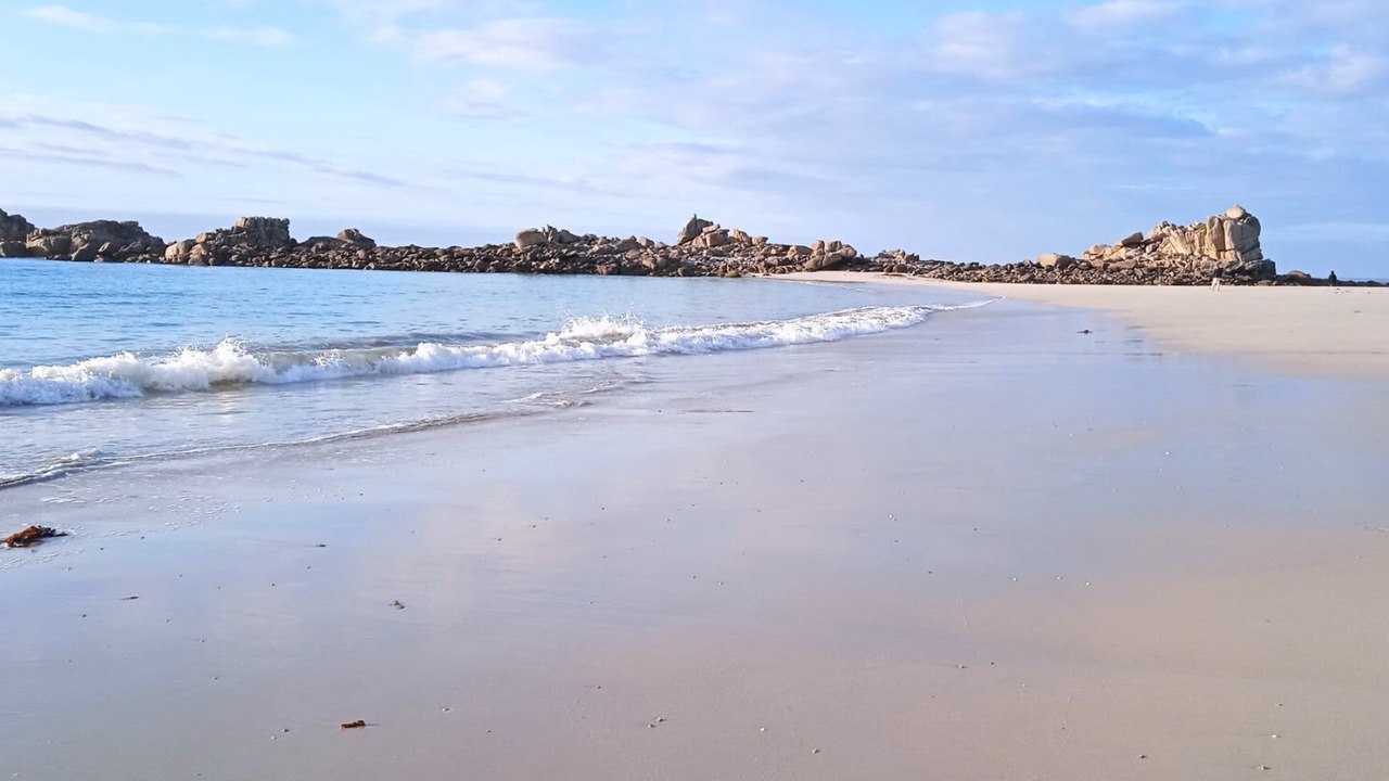 Photo of Others in Cleder