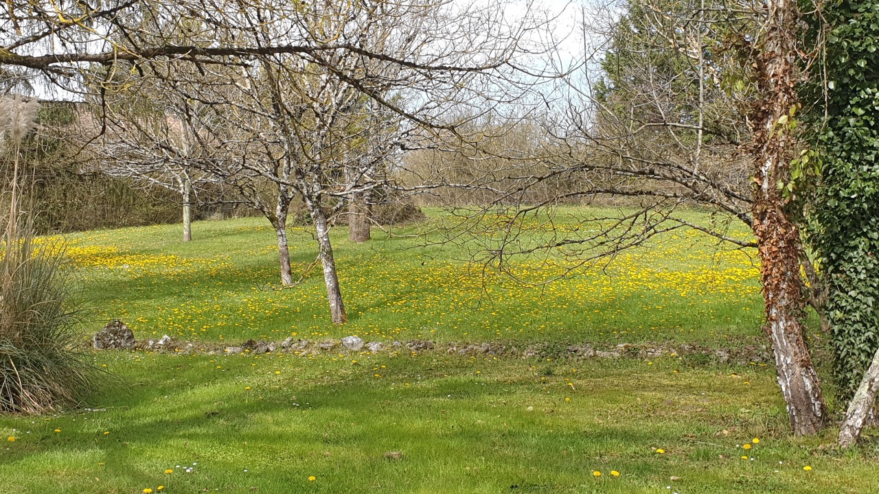 Photo of Outdoor in Parranquet