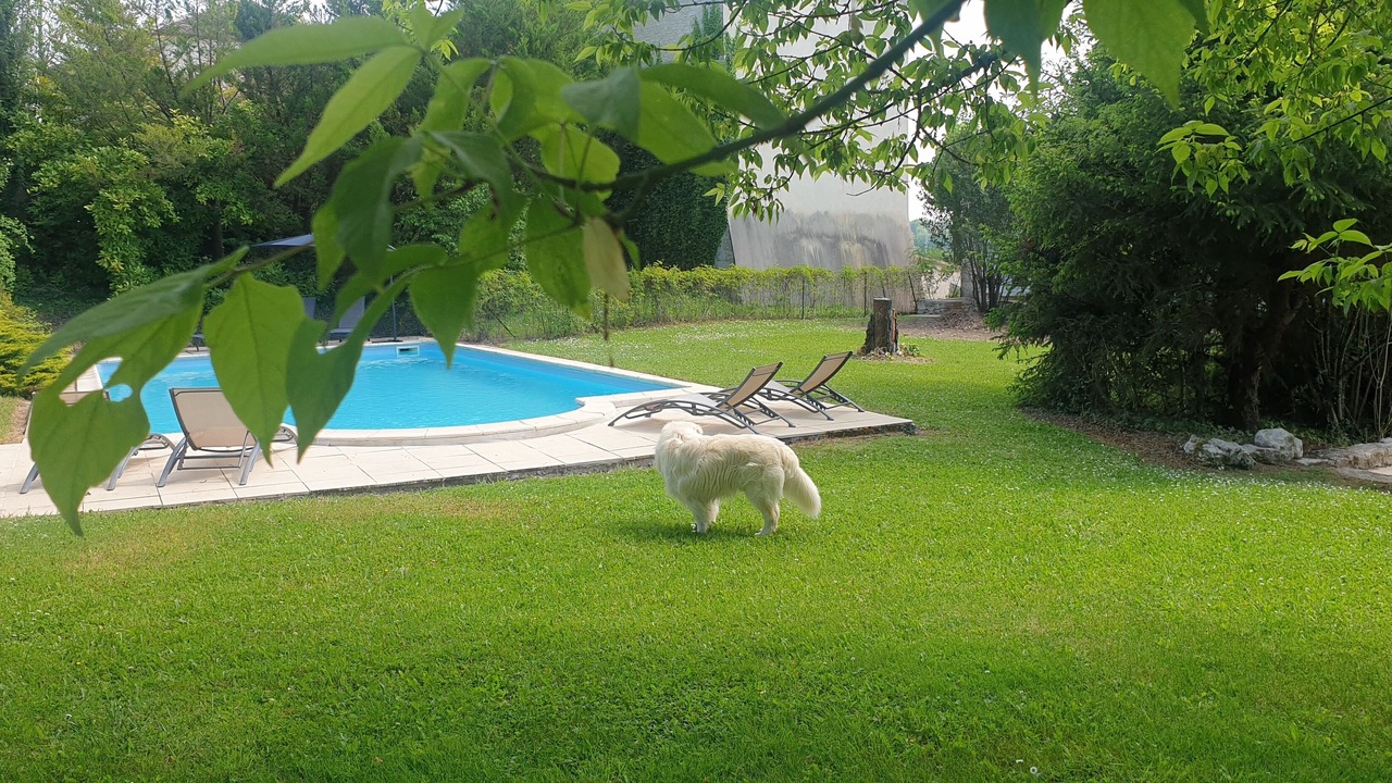 Photo of Outdoor in Parranquet