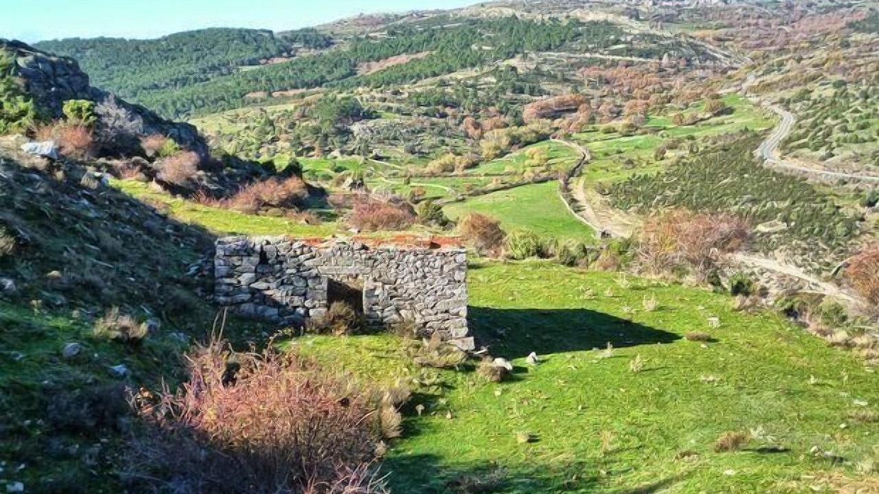 Photo of Outdoor in Santa Maria de la Alameda