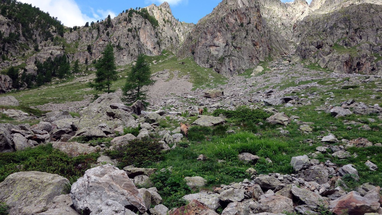 Photo of Outdoor in Belvedere