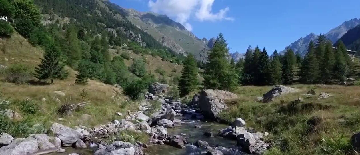Photo of Outdoor in Belvedere