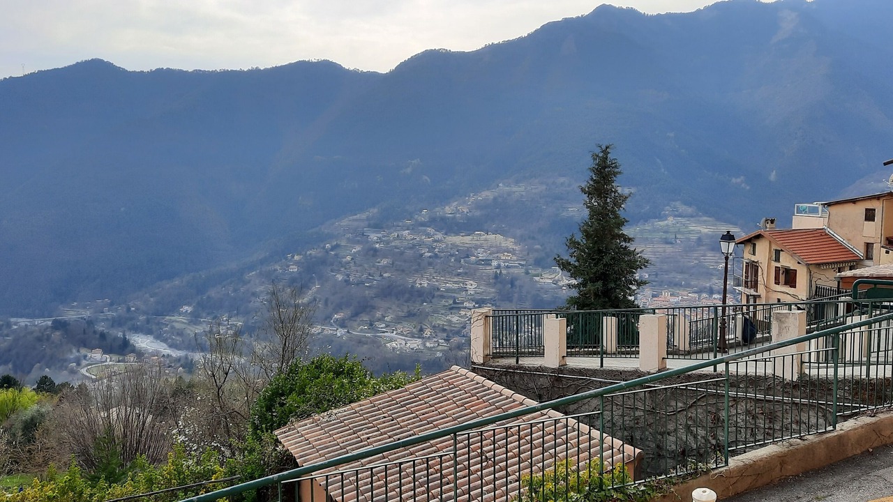 Photo of Others in Belvedere