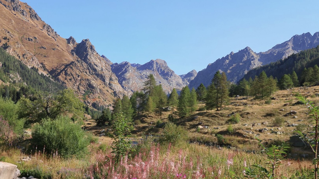 Photo of Outdoor in Belvedere