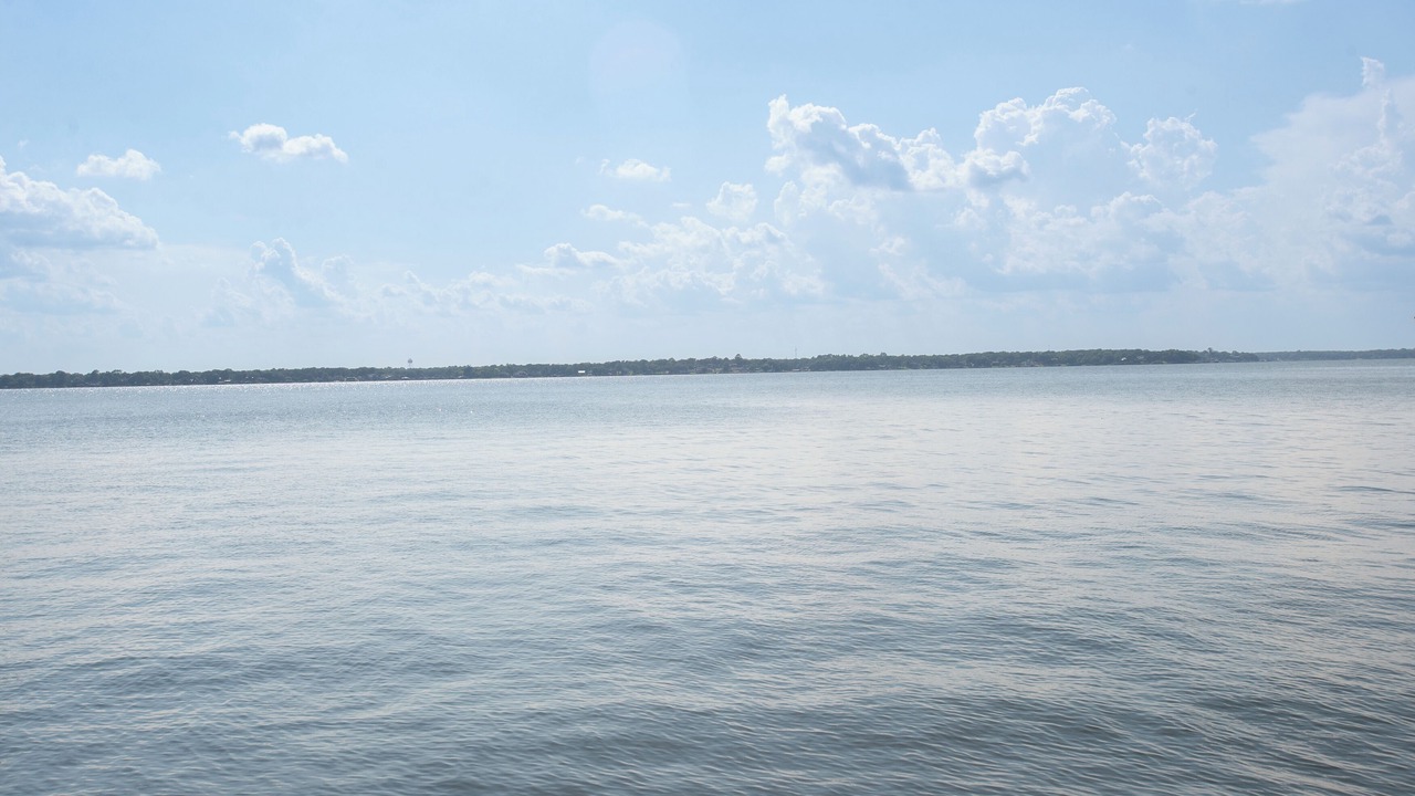 Photo of Others in Leisure Land