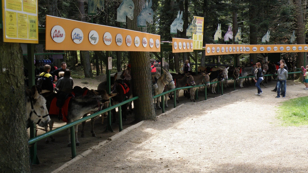 Photo of Others in Aydat