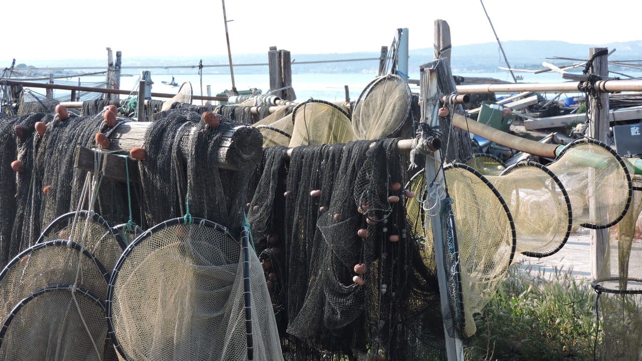 Photo of Others in Sete