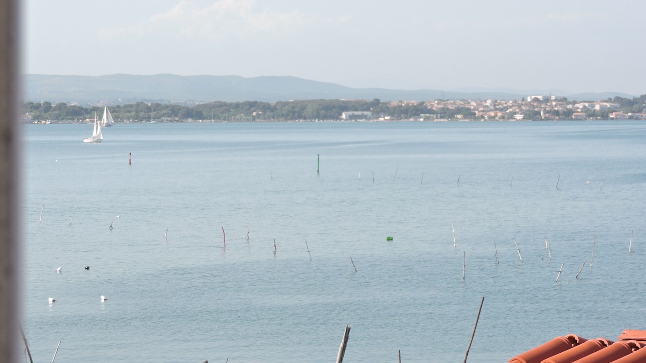 Photo of Others in Sete