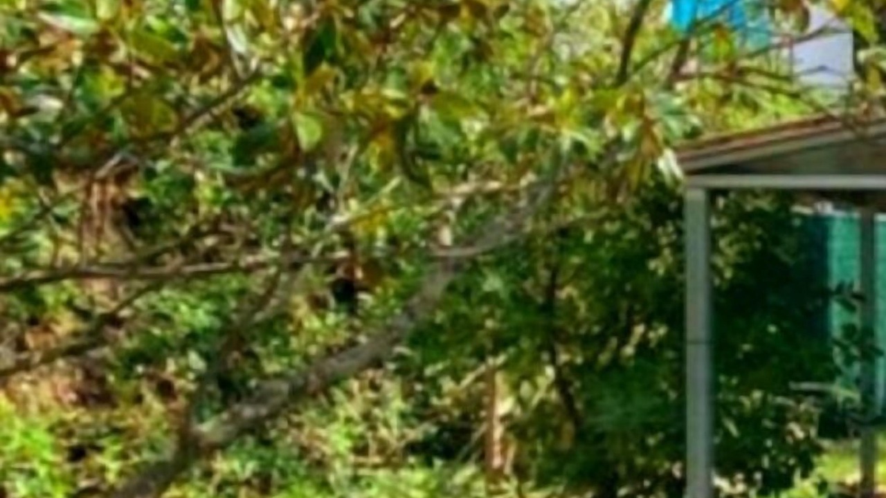 Photo of Outdoor in Vidreres