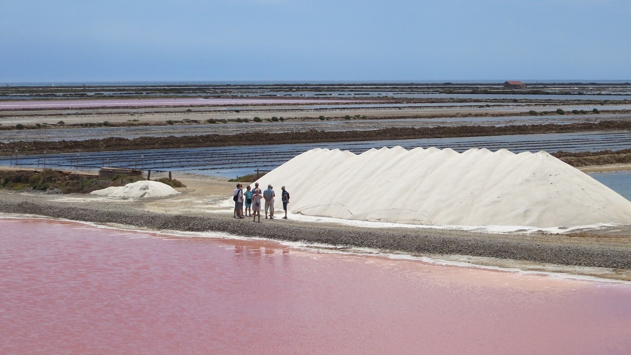 Photo of Others in Gruissan Plage