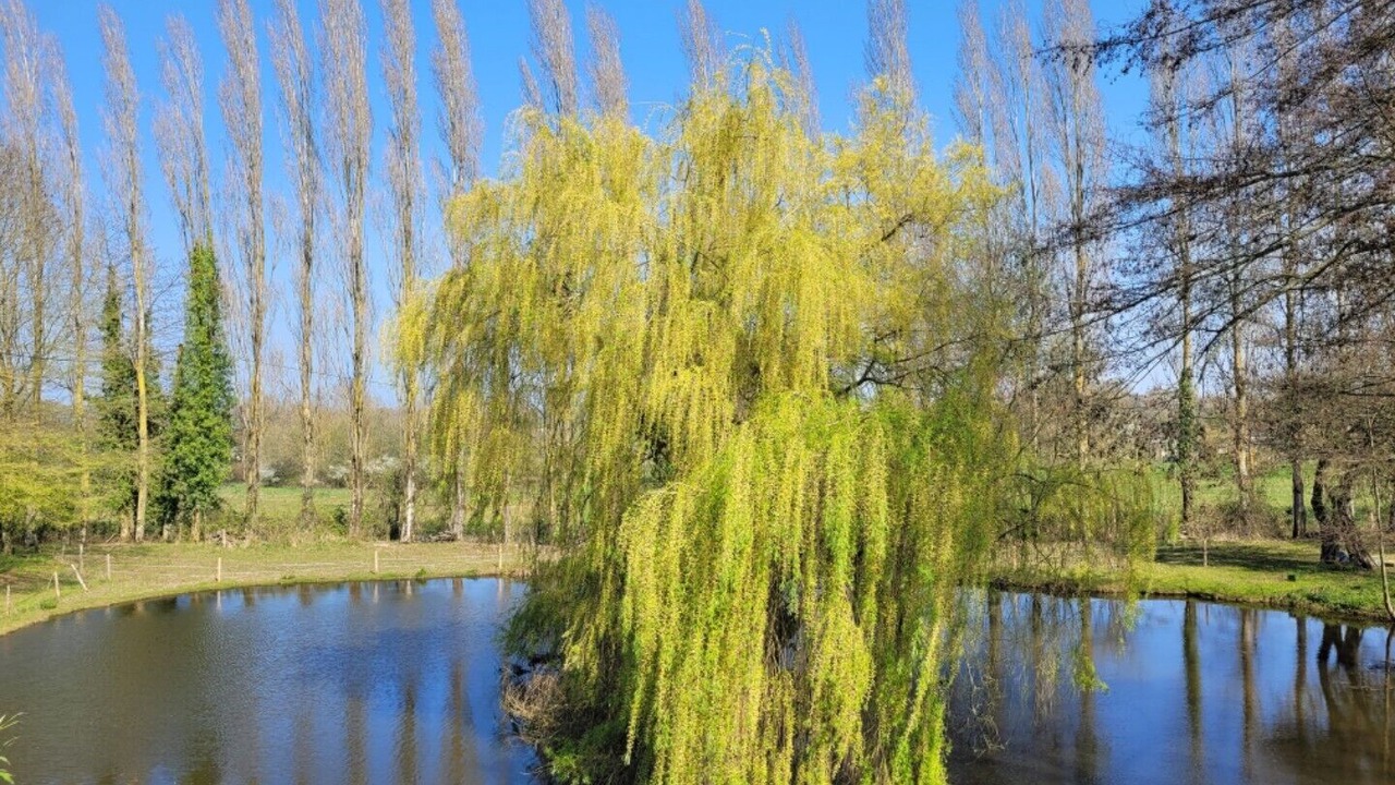 Photo of Outdoor in Beaulieu-sur-Oudon